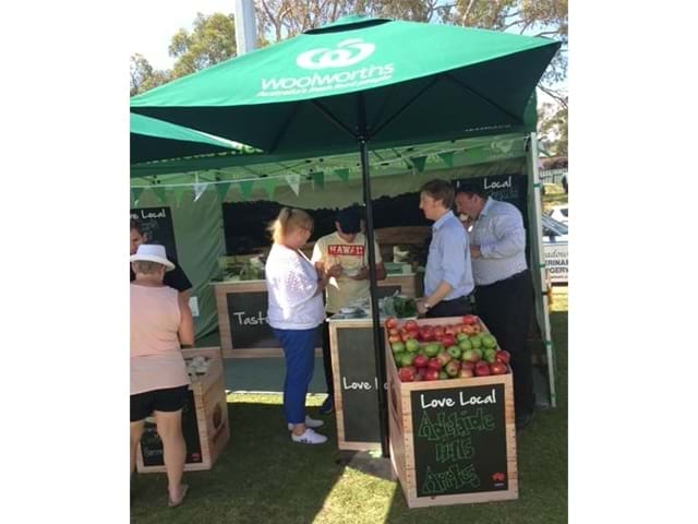 product-merchandising-displays-10-marquee-and-dump-bins.jpg