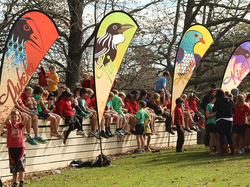 teardrop-flags-03-3.3m-high-teardrop-flags-at-a-school-sports-day.jpg